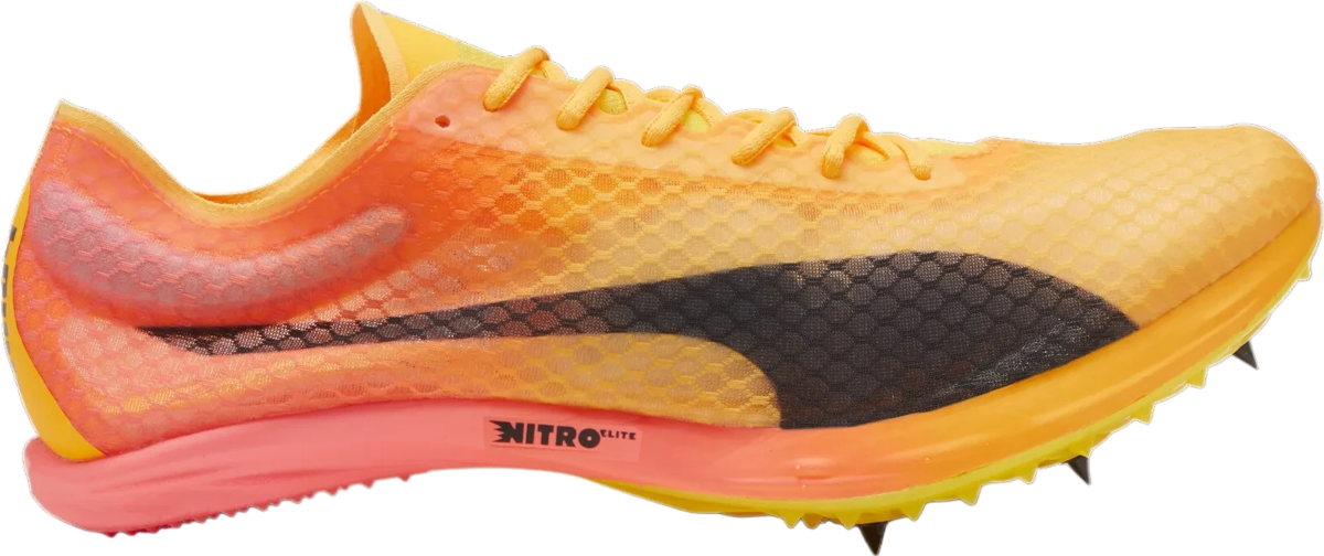 Track shoes/Spikes Puma evoSPEED Distance NITRO Elite+ 4