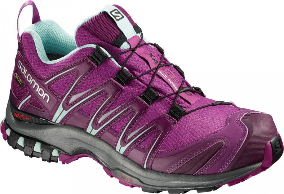 Trail shoes Salomon XA PRO 3D GTX® W