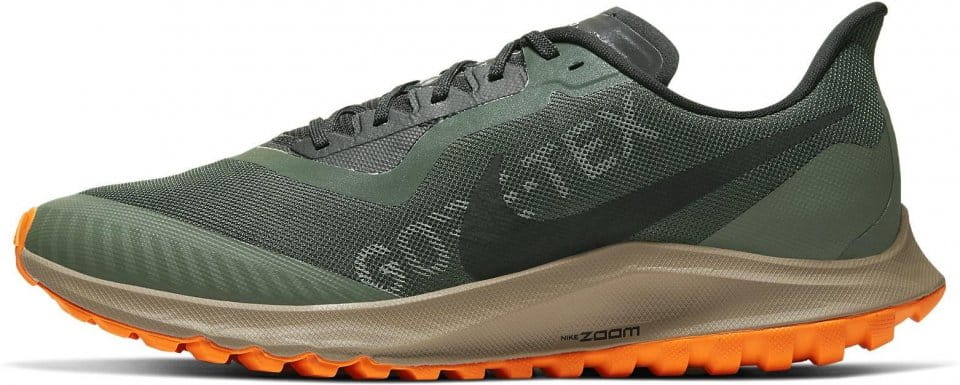 shoes Nike ZOOM PEGASUS 36 TRAIL GTX