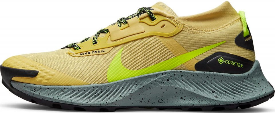 Shoes Nike Pegasus Trail 3 GTX -