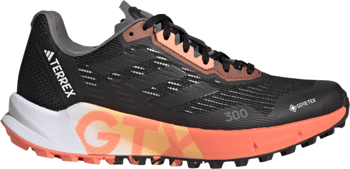 Trail shoes adidas TERREX AGRAVIC FLOW 2 GTX W