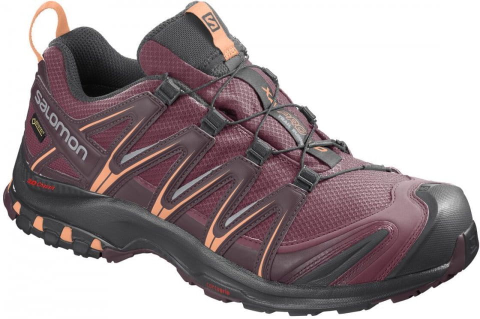 Trail shoes Salomon XA PRO 3D GTX W