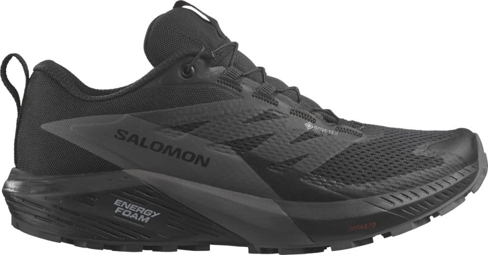 Trail shoes Salomon SENSE RIDE 5 GTX W