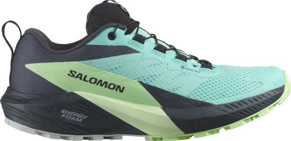 Trail shoes Salomon SENSE RIDE 5 GTX W